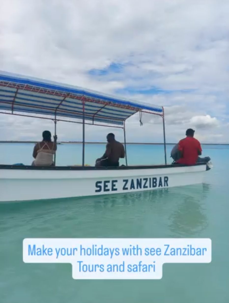 Dolphin tour