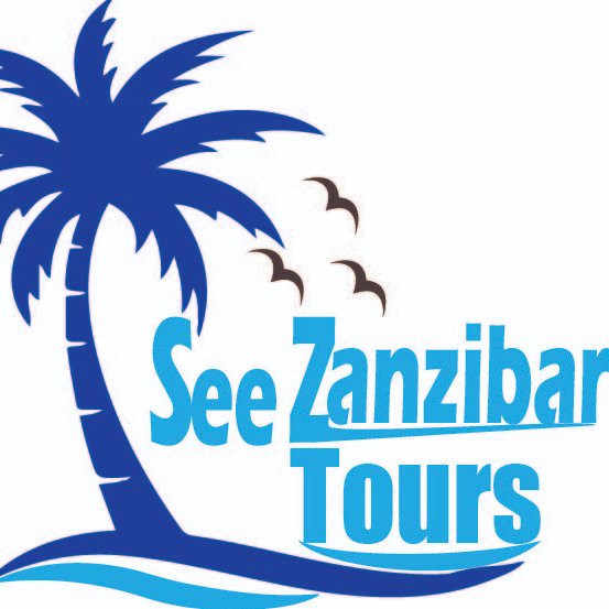Dolphin tour
